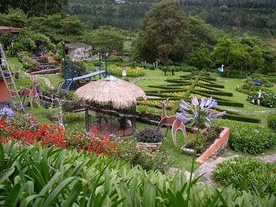 Mi jardin es su jardin