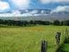 This is the view from the start of White Road.  In the distance is Mauna Kea.