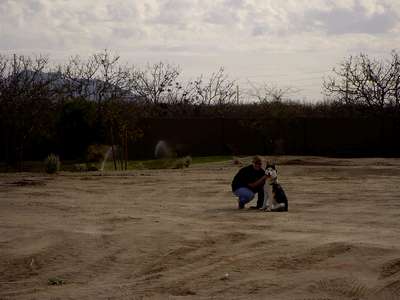 The future site of our new home! This is our very expensive plot of dirt.