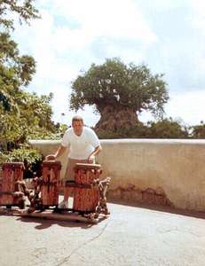 Dan playing the drums in Animal Kingdom...the tree of life is in the background