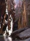 The Narrows in Zion National Park