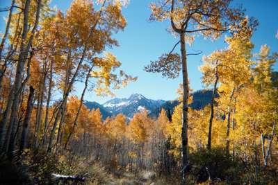 Fall Hike near home