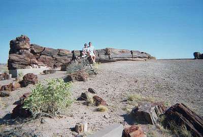 Petrified Forest, AZ