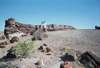 Petrified Forest, AZ