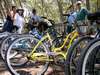 Saturday bike tour of Key West